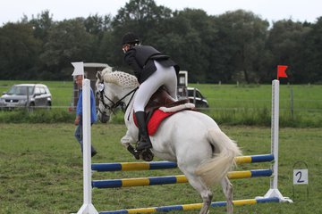 Bild 1385 - WBO-Turnier am 18.9.11
